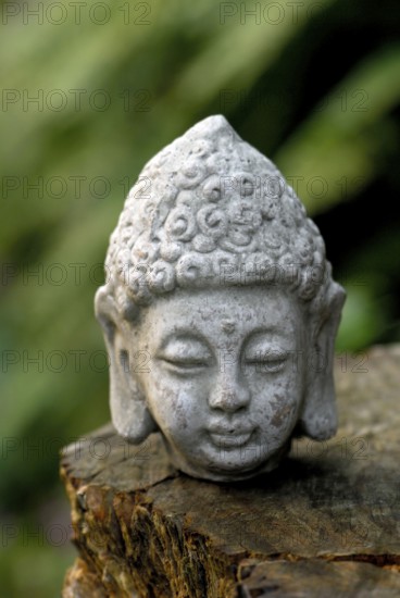 Buddha head
