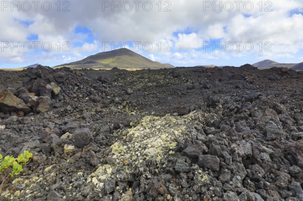 Volcanic landscape with lichen in the lava rock near Timanfaya National Park, Lanzarote, Canary
