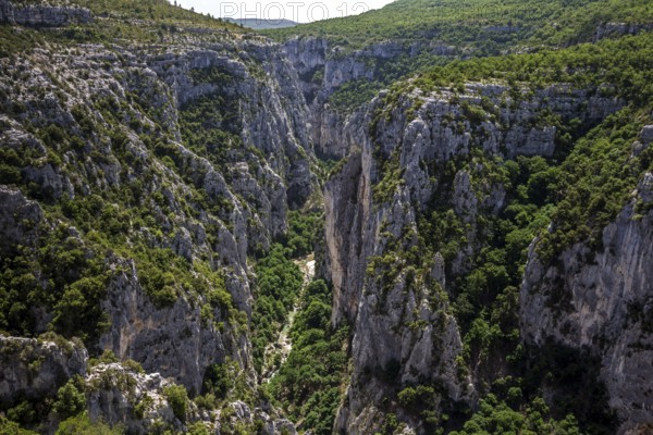 View into the Verdon Gorge at Belvedere de Bau Beni, Grand Canyon du Verdon, Département