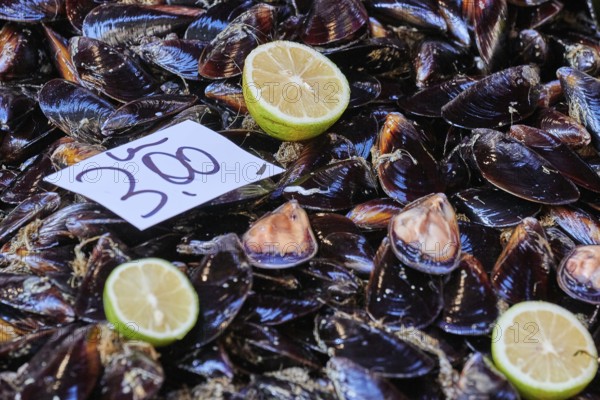 Mussels, lemons, price tag, detail, fish market, old town, Catania, east coast, Sicily, Italy,