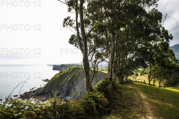Steep coast, Ribadesella, Asturias, Asturias, Costa Verde, Northern Spain, Spain, Europe