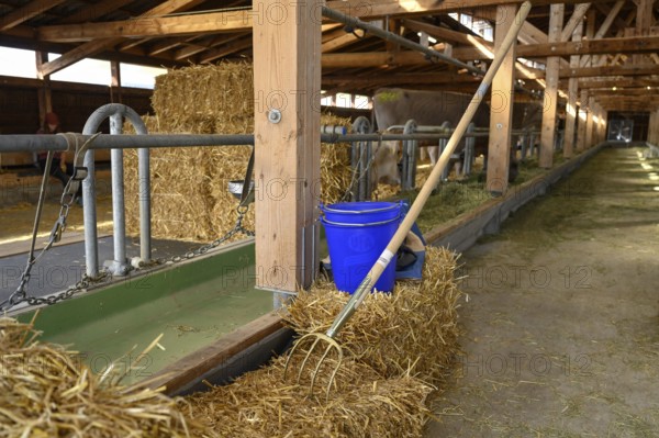 Stable Straw bale Pitchfork