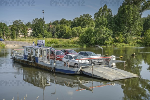 Saale, Brachwitz ferry, Brachwitz, Saxony-Anhalt, Germany, Europe