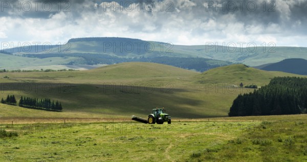 Cezallier plateau. Farmer rowing up hay in the Auvergne volcanoes regional natural park, Puy de