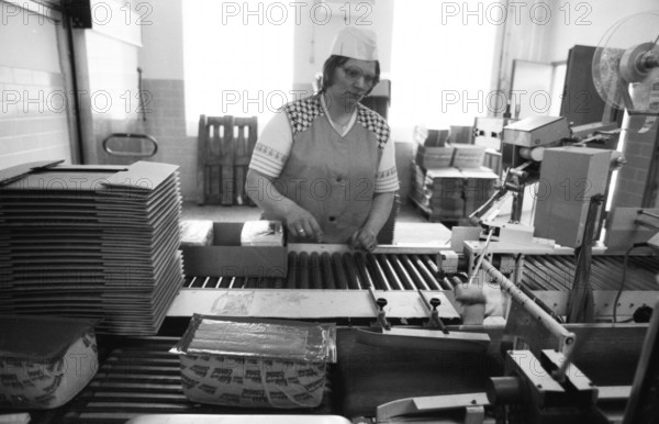 Cheese production at the Westmilch company on 22.05.1980 in Extertal near Herford, Germany, Europe