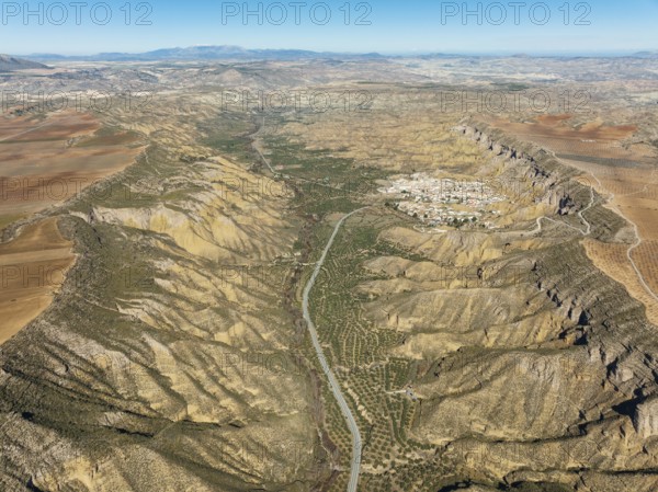 The Gor river valley grown with cultivated olive trees (Olea eropaea) and the town of Gorafe,