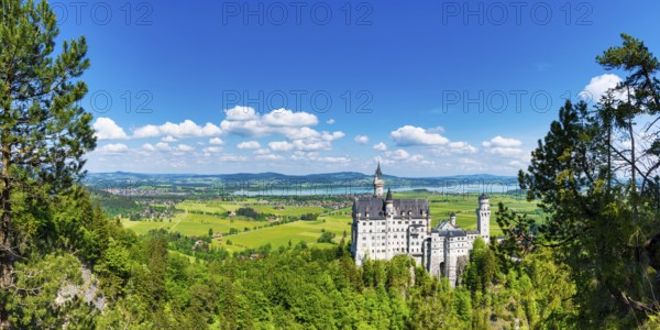 Neuschwanstein Castle near Hohenschwangau, Romantic Road, Ostallgäu, Bavaria, Germany, Europe
