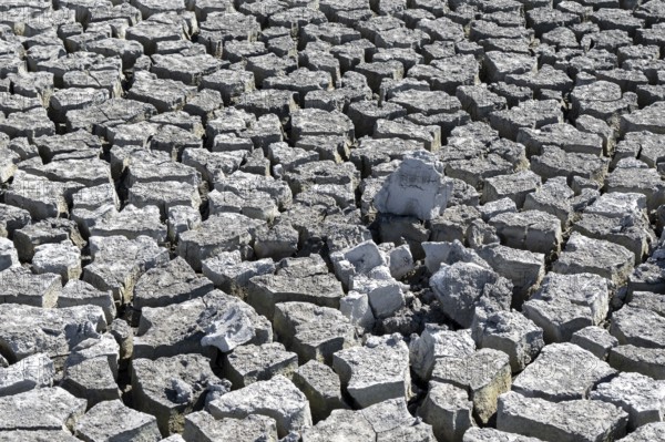 Cracked earth, heavily dried out Zicksee, Lake Neusiedl-Seewinkel National Park, Burgenland,