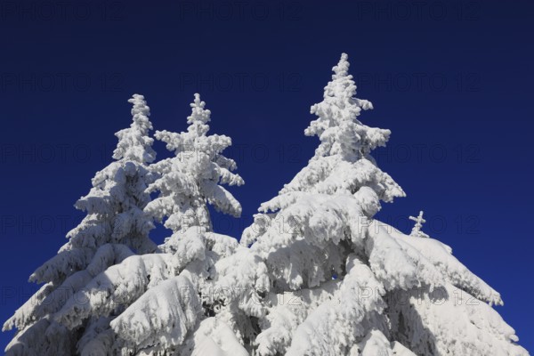 Winter landscape in the Fichtelgebirge, Bayreuth district, Upper Franconia, Bavaria, Germany,