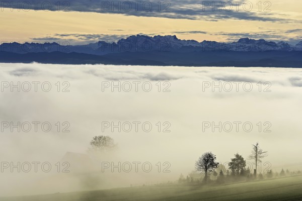 Fog over the Reuss valley, behind the snow-covered Alps, Schlatt, Freiamt, Canton Aargau,