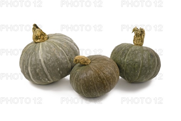 Three Blue Kuri Hokkaido squashes on white background