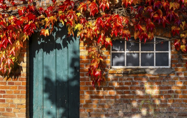 Autumn season, castle park and outbuildings, Ahrensburg, Schleswig-Holstein, Germany, Europe