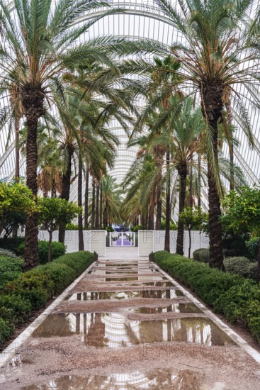 Umbracle Gardens, City of Arts and Sciences in Valencia, Spain, Europe