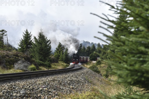 Harz narrow-gauge railway on the way to the Brocken, Saxony-Anhalt, Germany, Europe