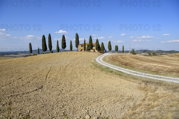 Cypresses in front of a country house, near Pienza, Val d'Orcia, Orcia Valley, Tuscany, Italy,