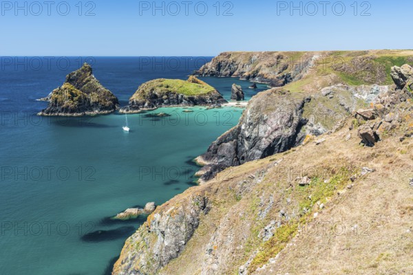 Kynance Cove and Asparagus Island, Cornwall, England, United Kingdom, Europe