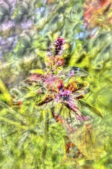 Oil painting, red flowers creative, different plants mixed, artistic shot, alienated flowers,