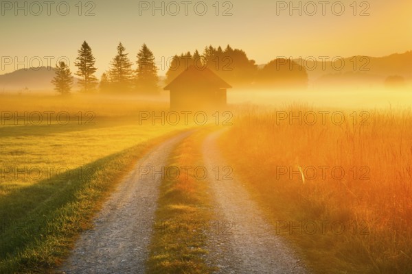 Golden morning light streams through fields of fog and the Rothenthurm high moor, Schwyz,