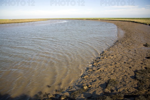 Butley River creek with muddy river bed, Boyton, Suffolk, England, United Kingdom, Europe