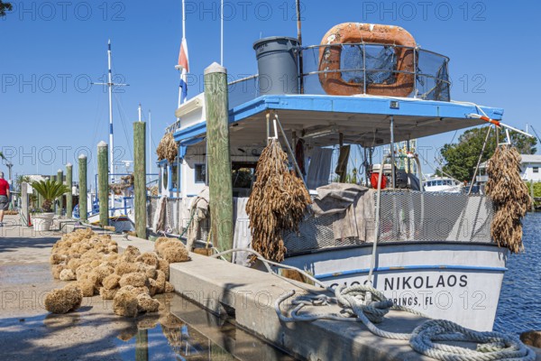Sponges unloaded from commercial fishing boat at dock on Dodecanese Blvd. in Tarpon Springs,
