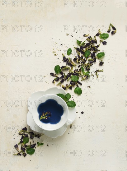 Butterfly pea tea. Cup of Thai tea, drink, Breakfast, Anchan