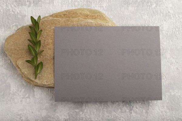 Gray paper business card, mockup with natural stone and boxwood branch on gray concrete background.
