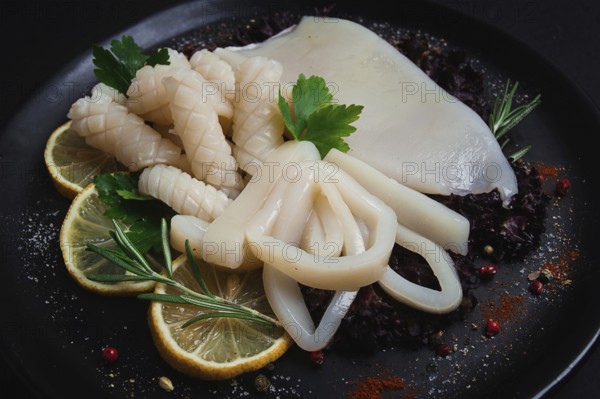 Fresh squid, raw, carcass, cut into rings, top view, no people