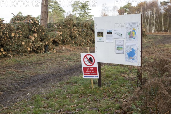 Forestry tree felling signs to create more heathland habitat, on Upper Hollesley Common, Suffolk,
