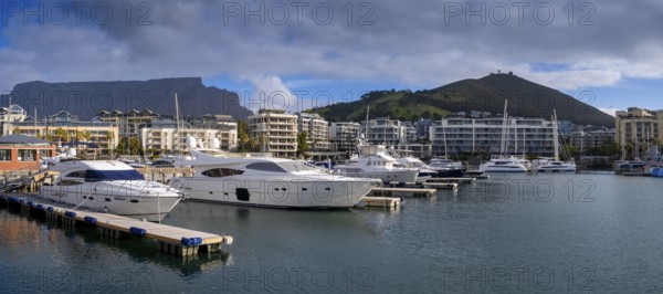 Yacht harbour, marina, with Signal Hill, dockyard and harbour district, Victoria & Alfred