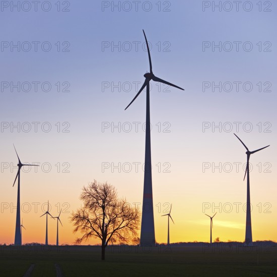 Wind turbines at dawn, Wevelsburg wind farm, Büren, Paderborn plateau, North Rhine-Westphalia,