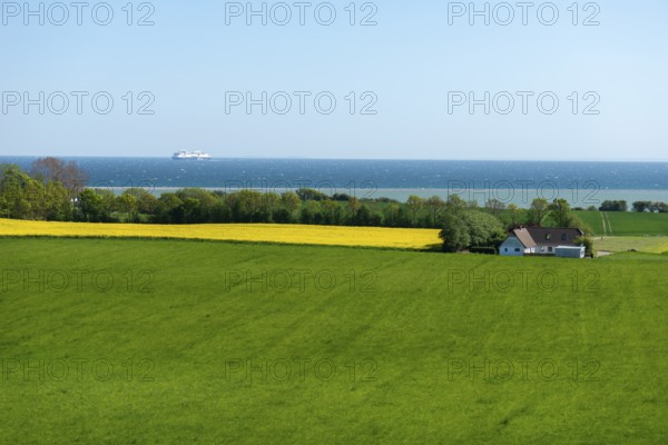 View from Hatbakken Fakkebjerg, Bagenkop, Langeland, Agriculture, Rapeseed cultivation, Ferry Color