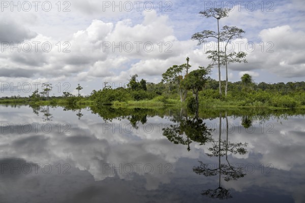 Waterscape on the Akaka River, Loango National Park, Parc National de Loango, Ogooué-Maritime