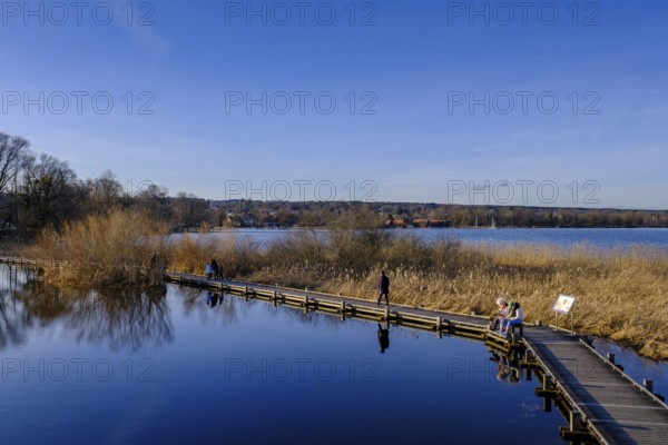 Plank path to the observation tower, high water in Dießen am Lake Ammer, Diessen, Fünfseenland,