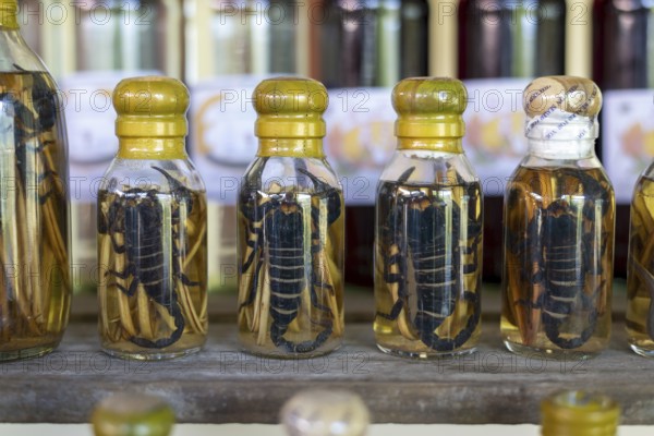 Choum, rice liquor, rice wine with pickled scorpions and snakes for sale, Laos, Asia