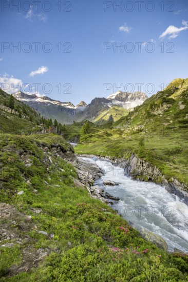 Mountain landscape with mountain stream Zemmbach, behind mountain peak Kleiner Mörcher, Berliner