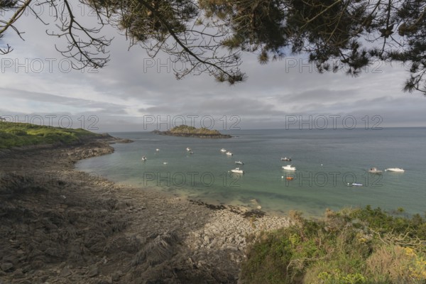 Beach with anchored motor boats, framed with the twigs of a pine tree. Looking at the sea and the