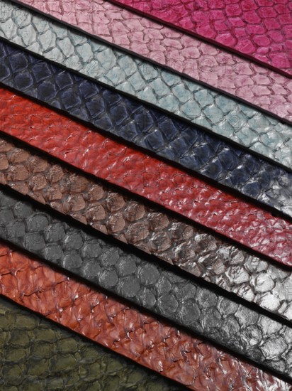 Coloured snakeskin stripes