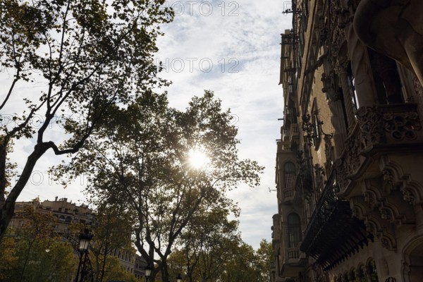 Artfully decorated façade, backlight, rays of sunlight in autumn, Casa Amatller, Passeig de Gracia,