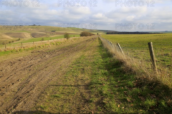 Roman road chalk landscape, near Baltic Farm, Bishops Cannings, Wiltshire, England, UK