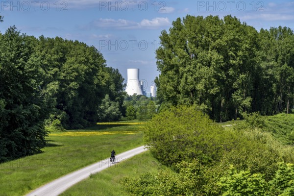 Rhine meadows near Duisburg-Beeckerwerth, footpath, cycle path on the Rhine dyke, view of the STEAG