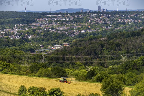 The skyline of Essen, skyscrapers in the city centre, view to the west, over the district