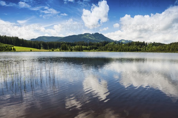 Attlesee, near Nesselwang, Oberallgäu, Allgäu, Swabia, Bavaria, Germany, Europe