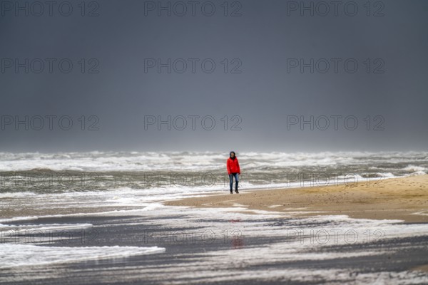 Walkers on the beach, dark storm clouds, choppy sea, autumn on the North Sea in North Holland,