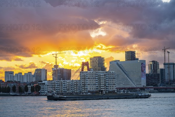 The skyline of Rotterdam, with the Willemsbrug over the Nieuwe Maas, Netherlands