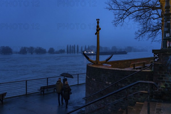 High water on the Rhine at Düsseldorf-Kaiserswerth, foggy weather, riverside paths and Rhine
