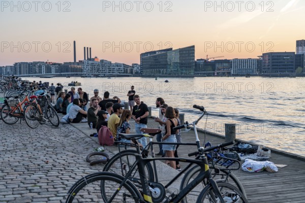 Summer evening in Copenhagen, at the harbour, Islands Brygge, people celebrating, eating, drinking,