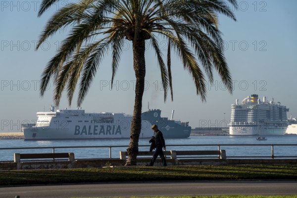 Waterfront promenade, ferries and cruise ship in the bay of Palma de Majorca, Spain, Europe