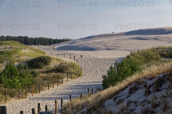 Beach access and dune landscape around the Lontz Dune, Wydma Lacka, the largest travelling dune on