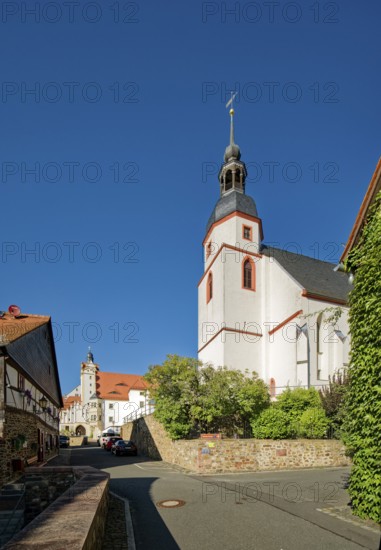 Town church St. Ägidien also St. Egidien, behind the castle Colditz, Colditz, Saxony, Germany,