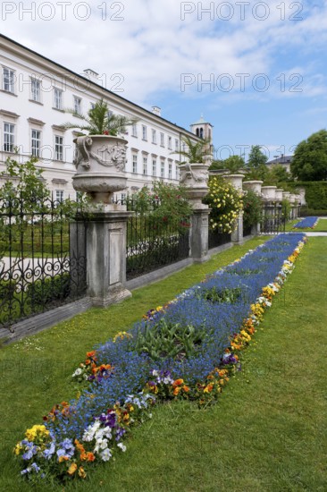 The Mirabelle plum garden with castle in Salzburg, city trip, travel, holiday, tourism, building,